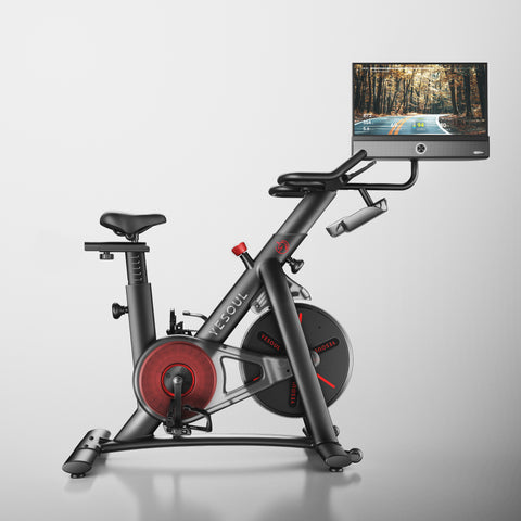 Yesoul Bicicleta G1M Plus(€499)
