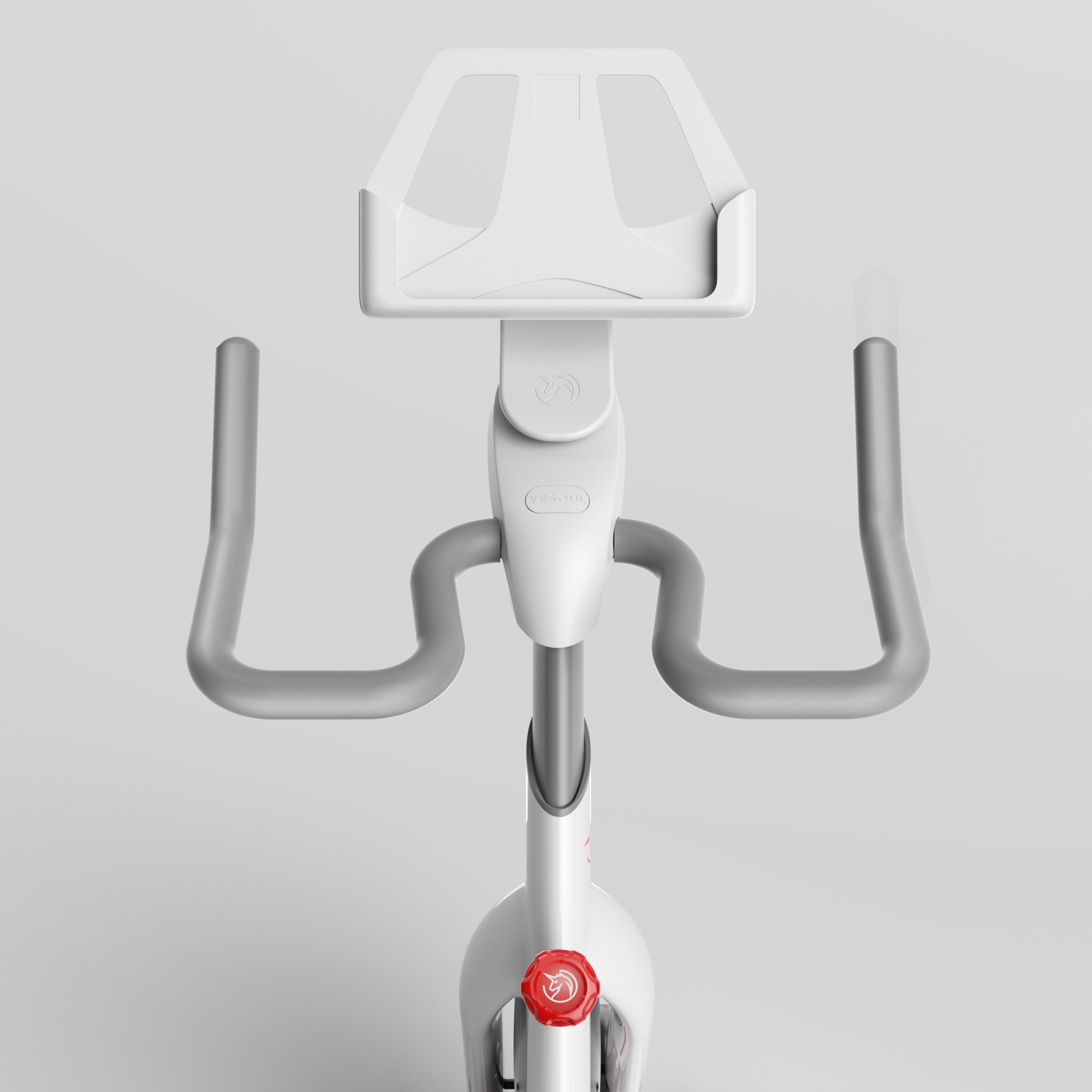 YESOUL S3 Bicicleta estática indoor — Norma UE