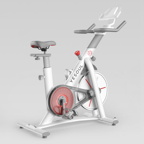 Yesoul Bicicleta S3(€329)