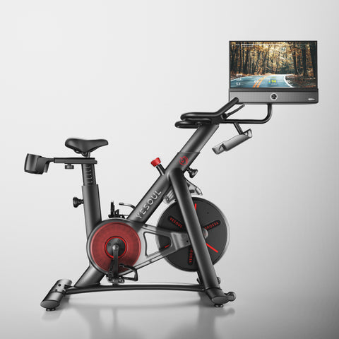 Yesoul Bicicleta G1M Max(€599)
