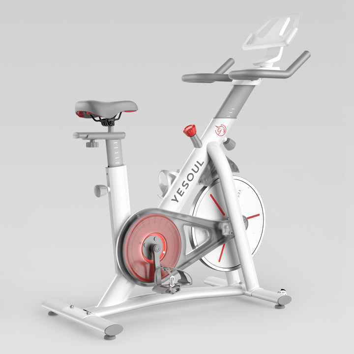 Yesoul Bicicleta S3(€329)