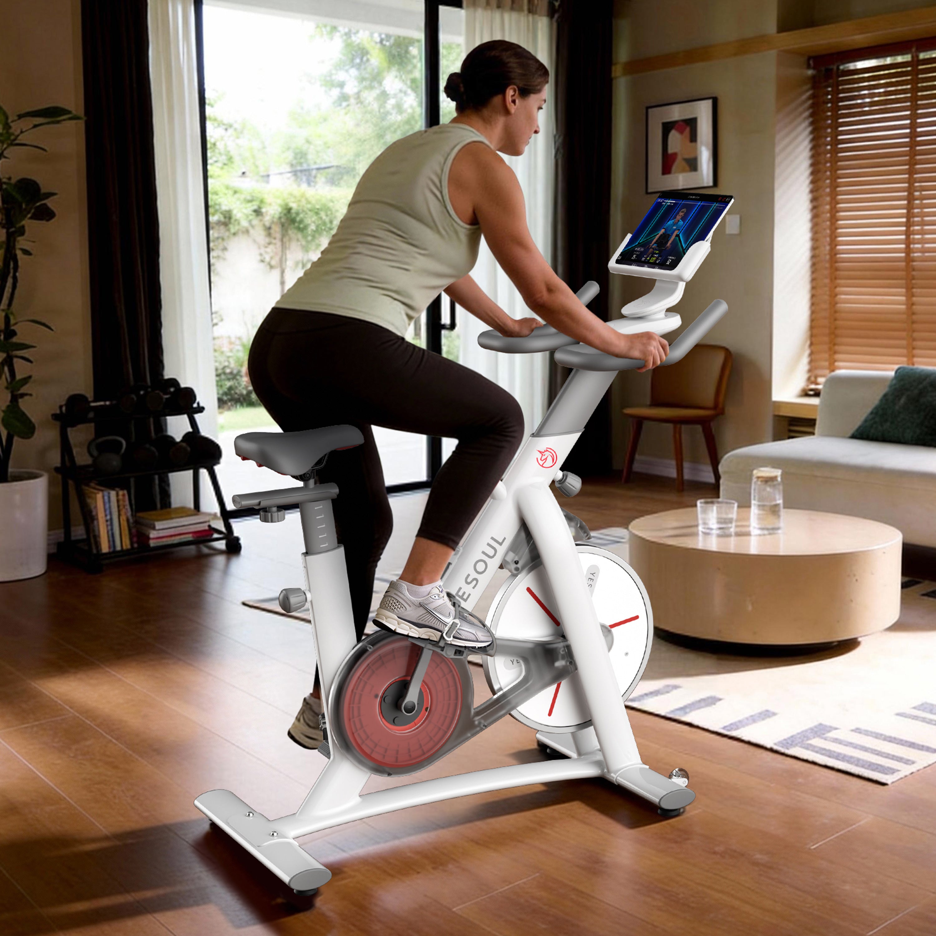 YESOUL S3 Bicicleta estática indoor — Norma UE