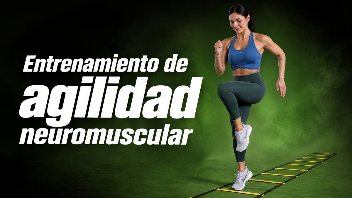 Vista previa del curso de estabilidad – 3